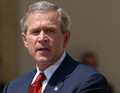 Miniatura: Co robi Bush na emeryturze? Remontuje szpital