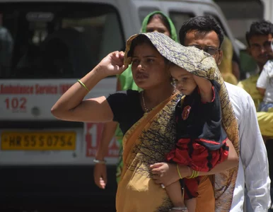 Miniatura: Tak wysokiej temperatury nie było tam...