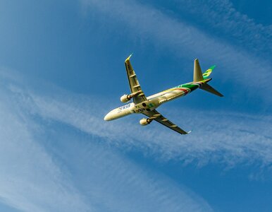 Miniatura: Nowa linia lotnicza w polskim porcie. Z...