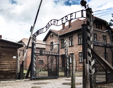 Miniatura: Wojna na Ukrainie. Muzeum Auschwitz...