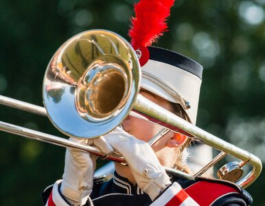 Miniatura: Test wiedzy ogólnej na literę „P”. W 7....