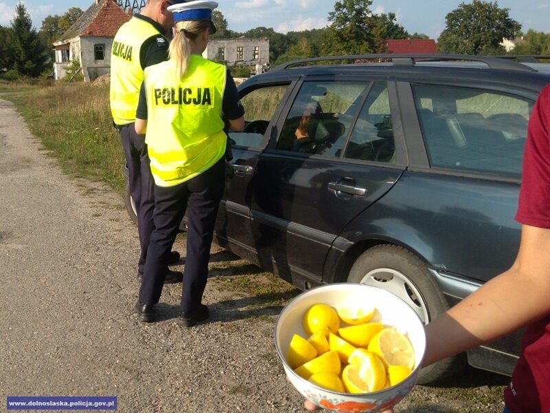 Zdjęcie z policyjnej akcji 