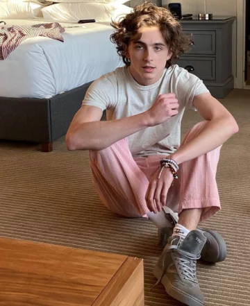 Timothee Chalamet 