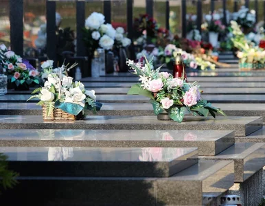 Miniatura: Posłowie chcą wzrostu tzw. wdowich...