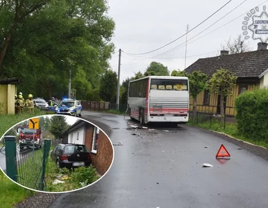 Miniatura: Wypadek szkolnego autobusu. Wjechał w...