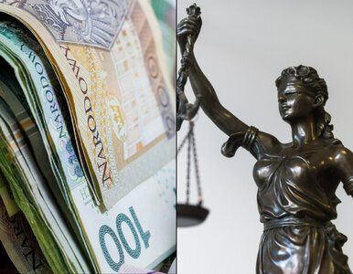 Miniatura: Tak państwo zastawiło pułapkę na...
