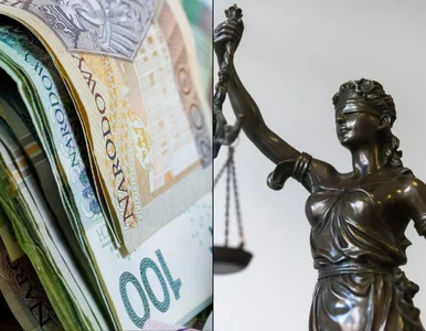 Miniatura: Tak państwo zastawiło pułapkę na...