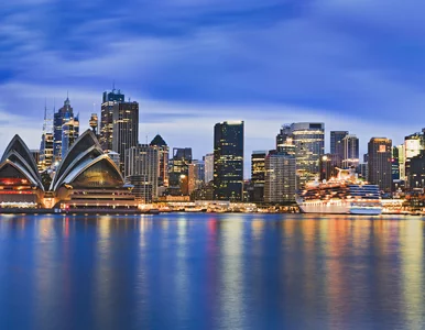 Miniatura: Takiego przemytu dawno nie było....