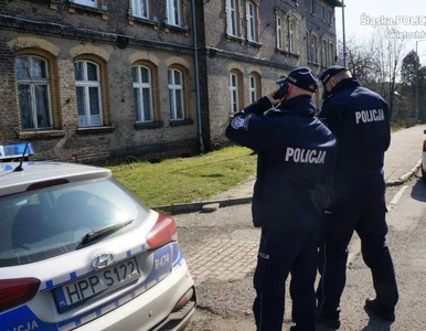 Miniatura: Śląsk. Podczas kwarantanny owinęła syna...