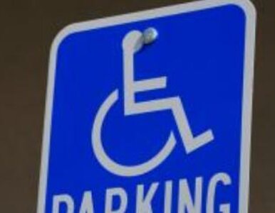 Miniatura: Większość niepełnosprawnych może pracować