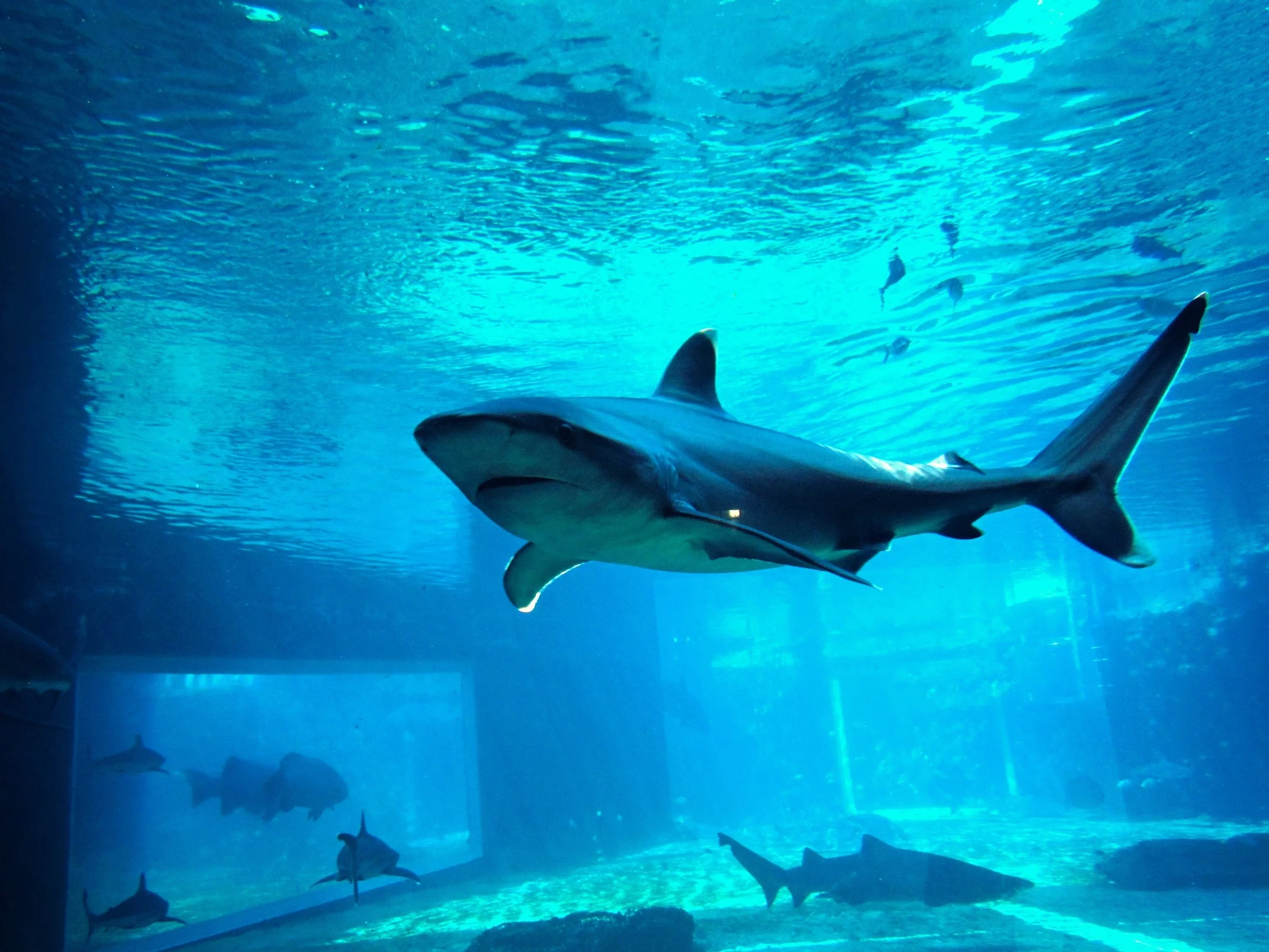 Prawda czy fałsz? Trudny quiz z wiedzy ogólnej