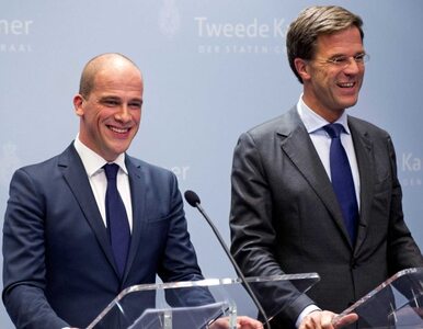 Miniatura: W Holandii powstanie rząd koalicyjny?...