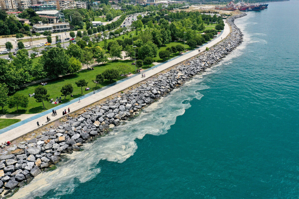 Śluz pokrywający Morze Marmara przy tureckim wybrzeżu 