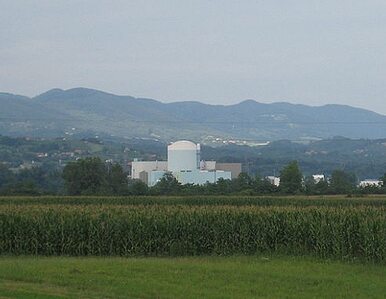 Miniatura: Słowenia nie zraża się do energii jądrowej...