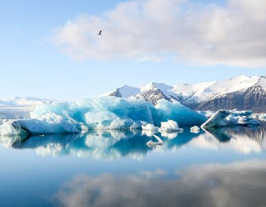Miniatura: Arktyka bez lodu morskiego. Już po 2030...