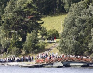 Miniatura: Norwegia: była partia Breivika rośnie w...