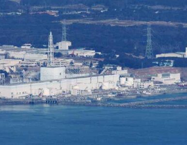 Miniatura: Radioaktywny wyciek w Fukushimie