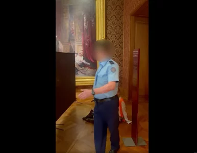 Miniatura: Policja w muzeum. Aktywistka obnażyła się...