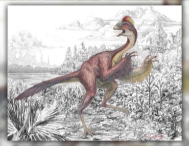 Miniatura: Naukowcy odkryli nowego dinozaura....