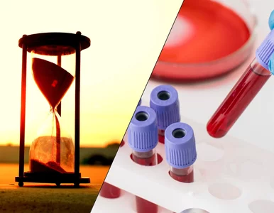 Miniatura: Krew zdradzi twoją przyszłość. Naukowcy...