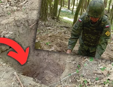 Miniatura: Szukał „skarbu”, dokonał w lesie...