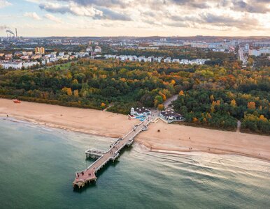 Miniatura: Atrakcja w Gdańsku wróci przed świętami....