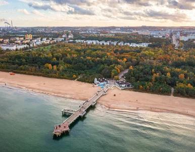 Miniatura: Atrakcja w Gdańsku wróci przed świętami....