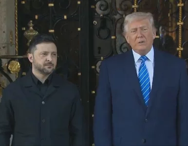 Miniatura: Zełenski u Trumpa, ważą się losy wojny....