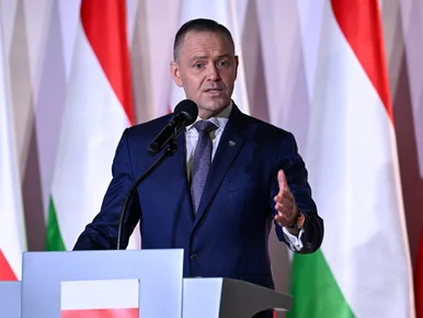 Miniatura: Karol Nawrocki wściekł się na wizji....