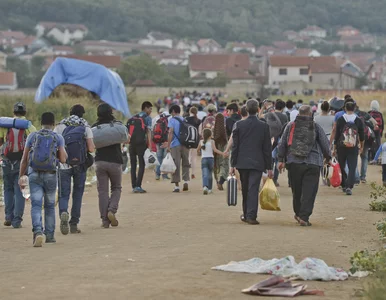 Miniatura: Globalna fala migracyjna porwie w tym roku...