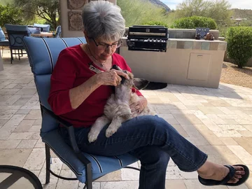 Suczka Latte porwana przez sowę 