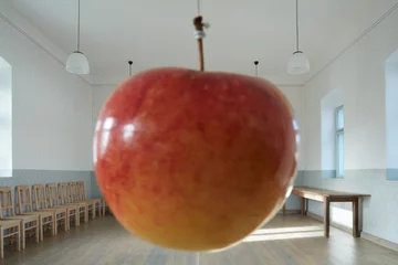 Destylarnia w Javornicach, projekt ADR Linka, Javornice, jabłka