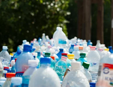 Miniatura: Ustawa kaucyjna znów przesunięta – czy to...