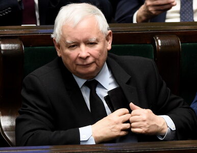 Miniatura: Kaczyński rozmawiał z Ziobrą. Zaskakujące...