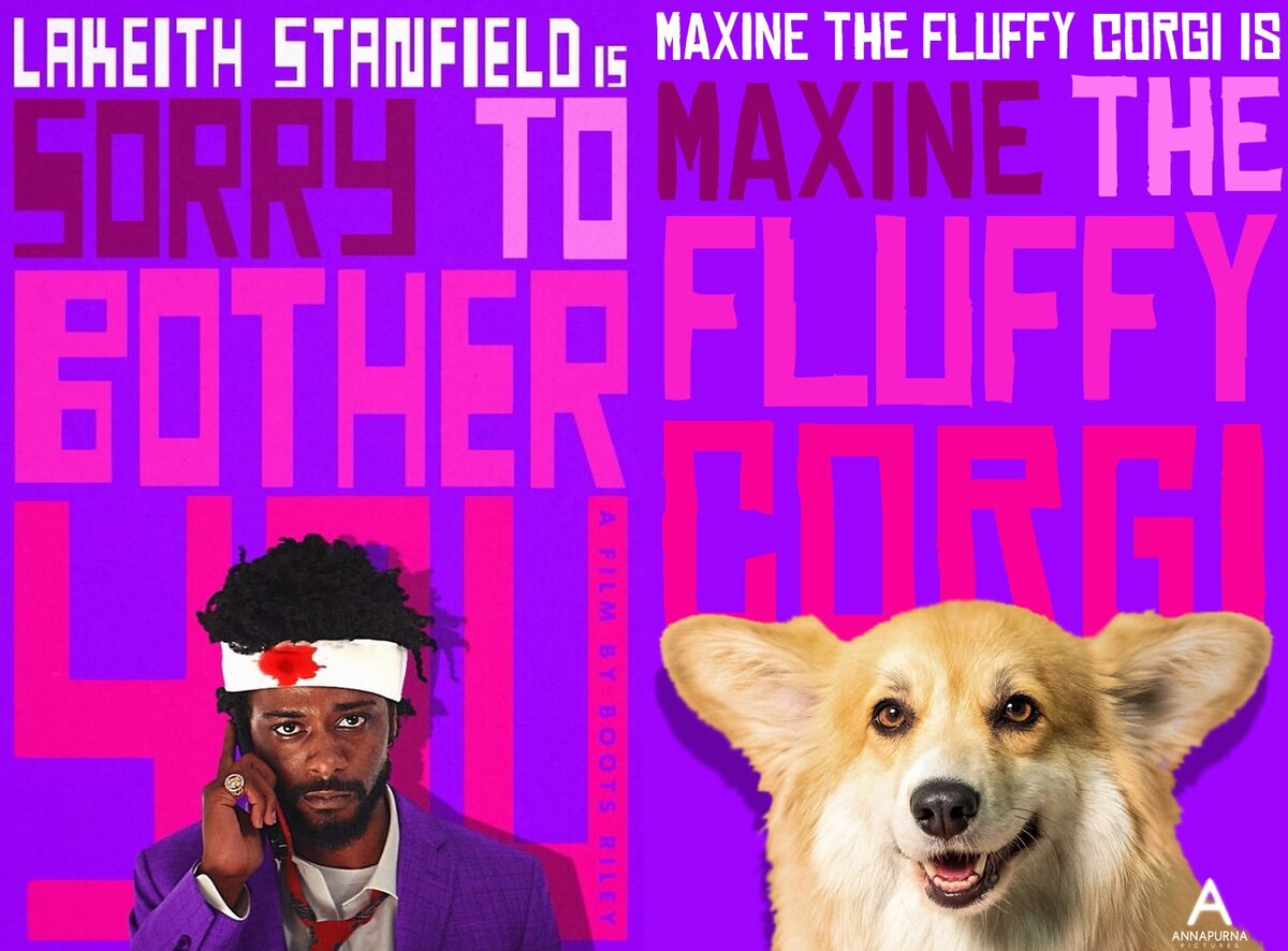 Plakat "Sorry to bother you" i plakat "Maxine the fluffy corgi" 