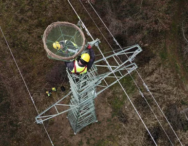 Miniatura: Świadomość ekologicznej odpowiedzialności