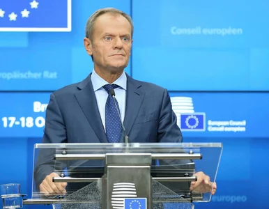 Miniatura: Dlaczego Donald Tusk nie kandyduje na...