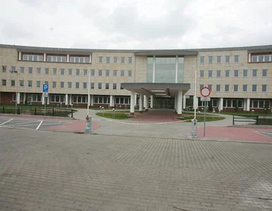 Miniatura: ZUS skruszy monopol Asseco? Dzięki innym...