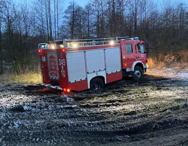 Miniatura: Z Bugu wyłowiono pięć ciał migrantów?...