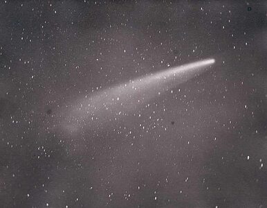 Miniatura: &#8222;Polonia&#8221; &#8211; nowa kometa...