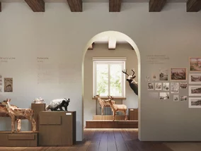 Miniatura: Łazienki Królewskie szykują wielką zmianę...