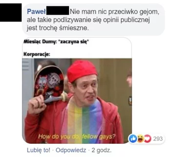 Wiele osób zarzuca firmie działanie „pod publiczkę” 