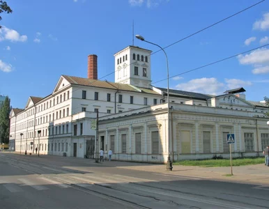 Miniatura: Pieszczyk: Do Łodzi zawsze warto jechać