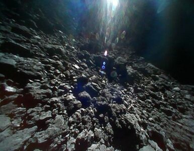 Japońska agencja pokazała nowe zdjęcia z powierzchni asteroidy Ryugu