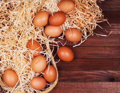Miniatura: 5 nowych sposobów użycia jajek – czy już...