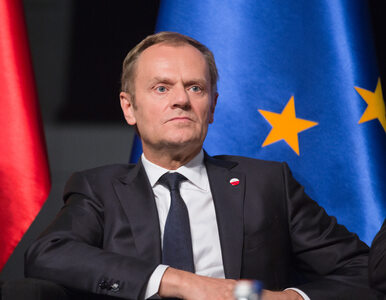 Miniatura: Tusk kontra Kowalski, w tle sprawa...