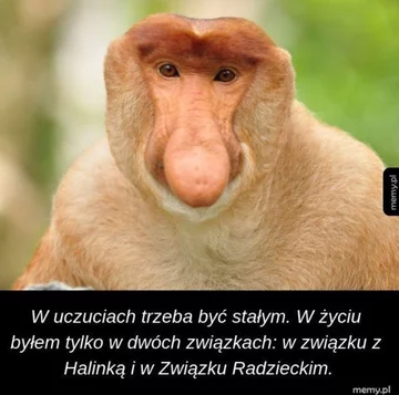 Memy na Walentynki 