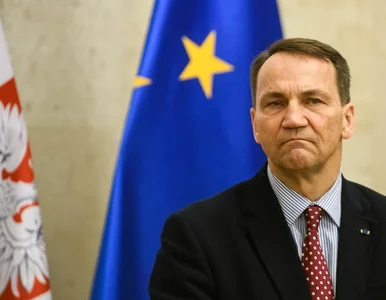 Miniatura: Sikorski apelował o zaostrzenie sankcji i...
