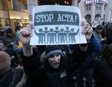 Miniatura: Actywiści kontra analogi