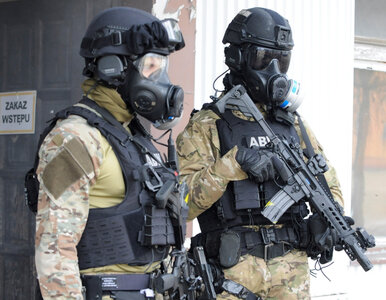 Miniatura: 50-latek z Polski chciał dołączyć do Grupy...